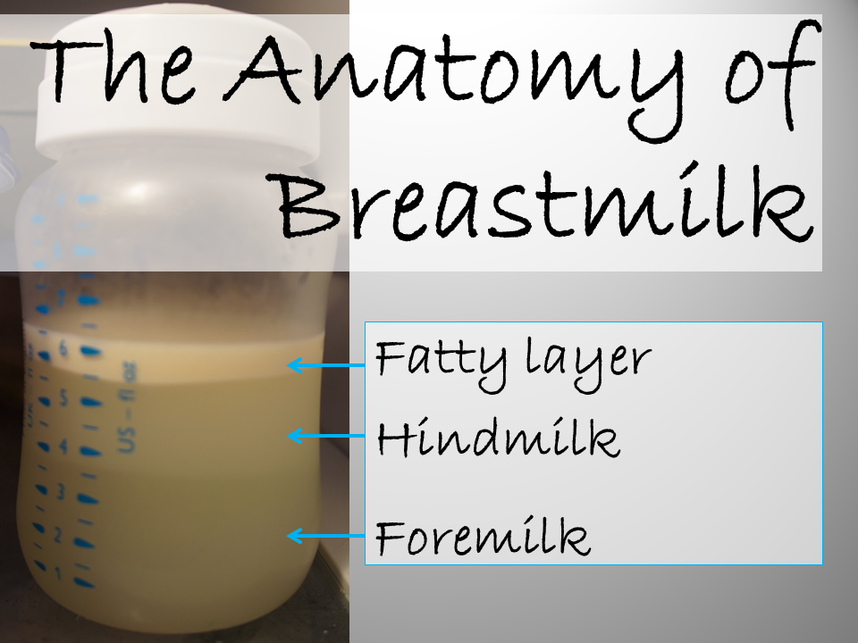 The Anatomy of Breastmilk