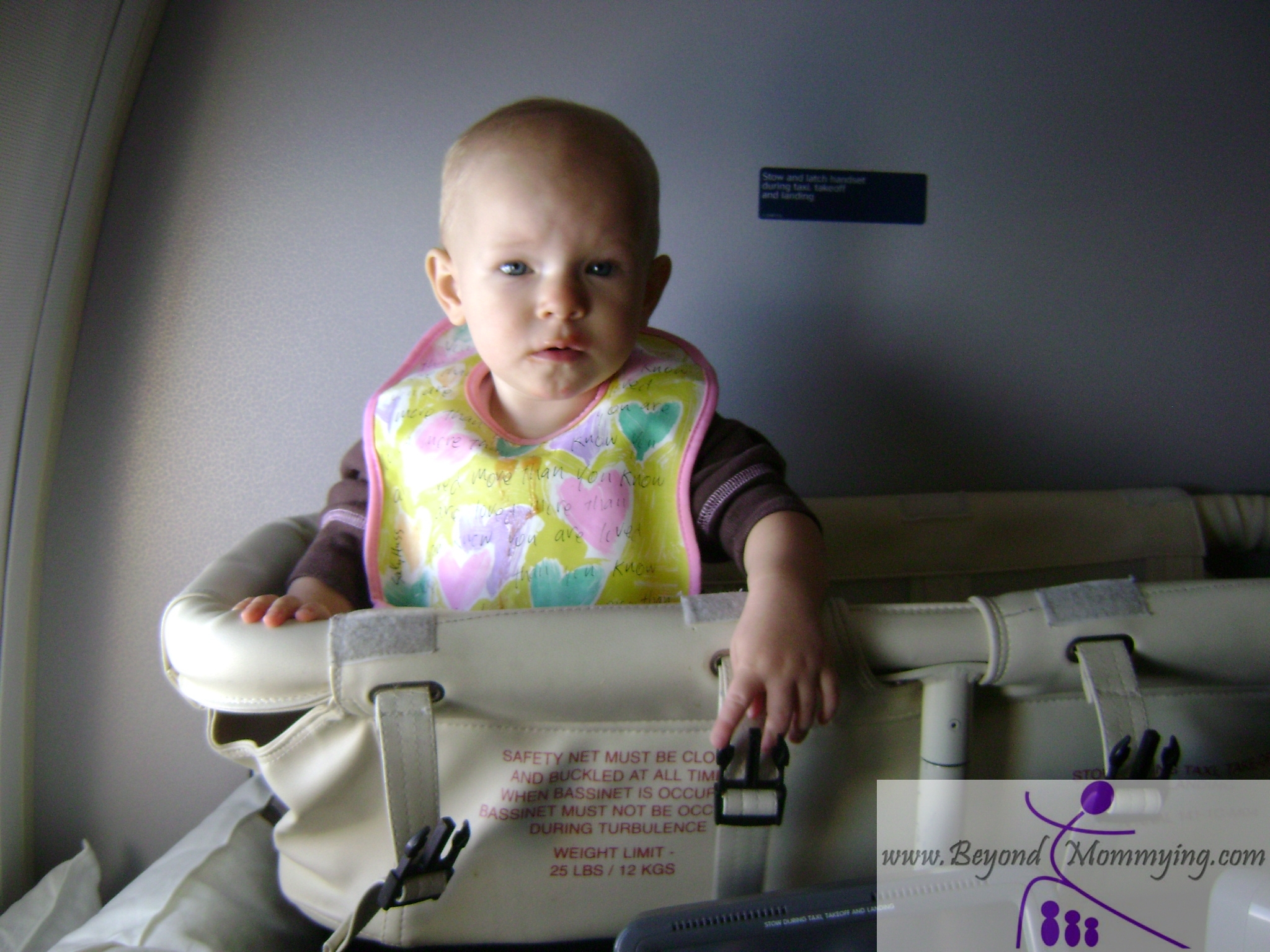 delta airlines baby stroller
