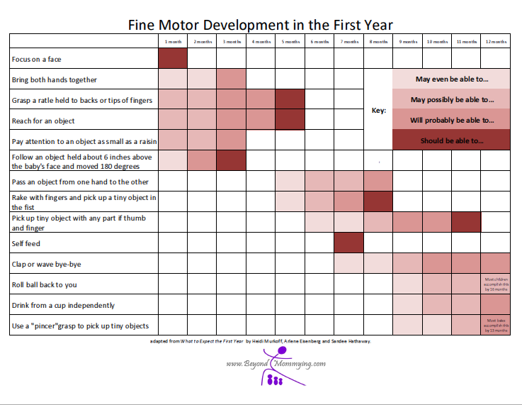 Infant Fine Motor Development Chart