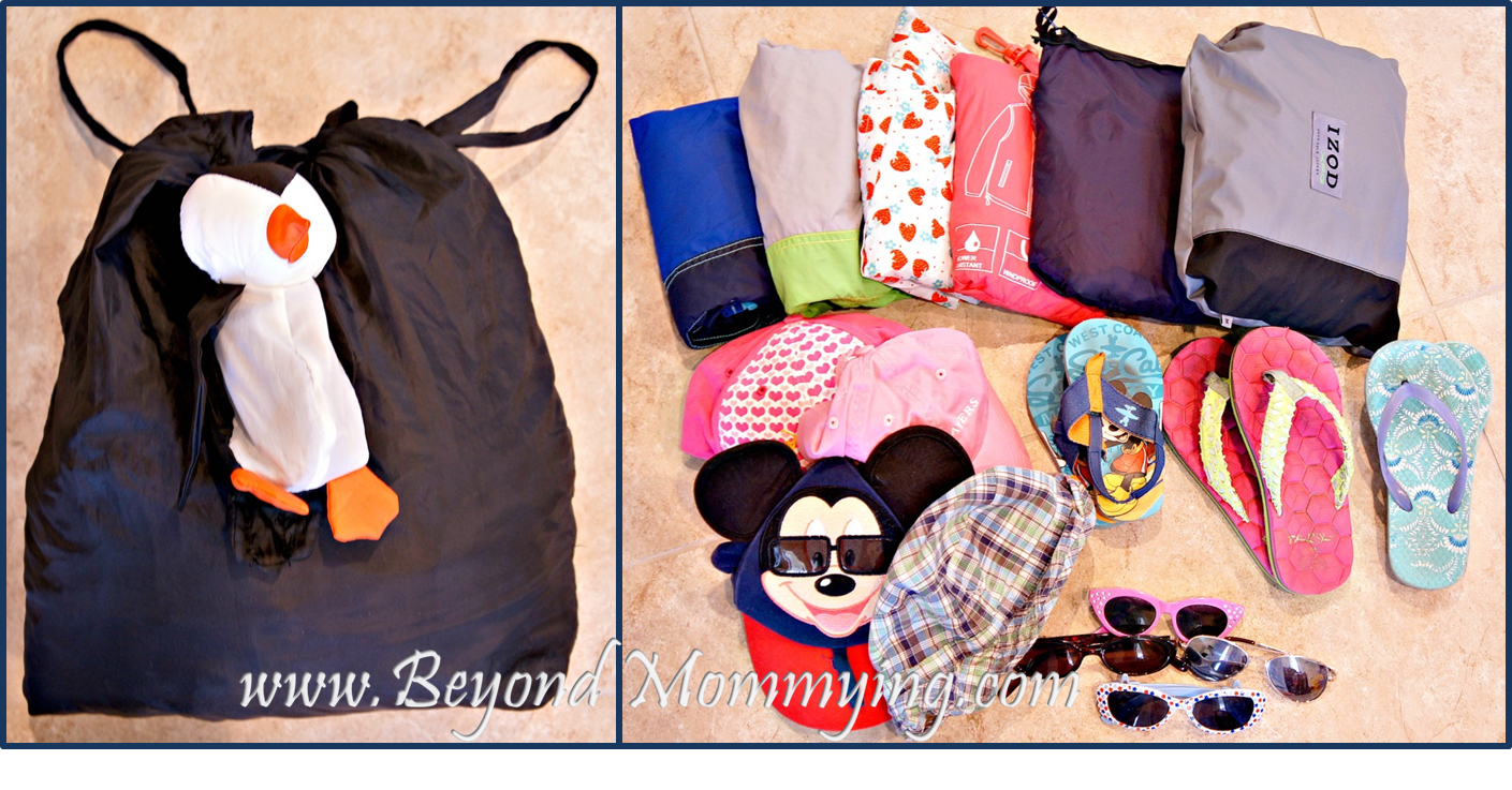 What to Pack for Disney: Rain or Shine Bag