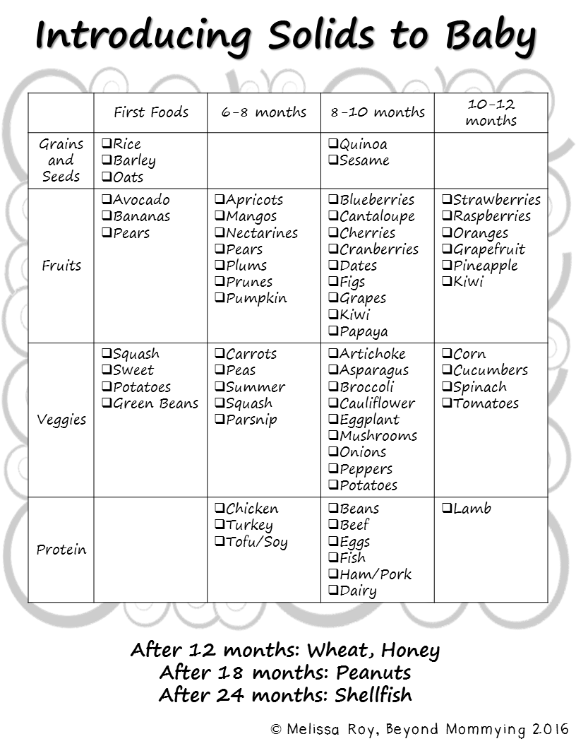 Introducing Solid Foods To Baby - Beyond Mommying