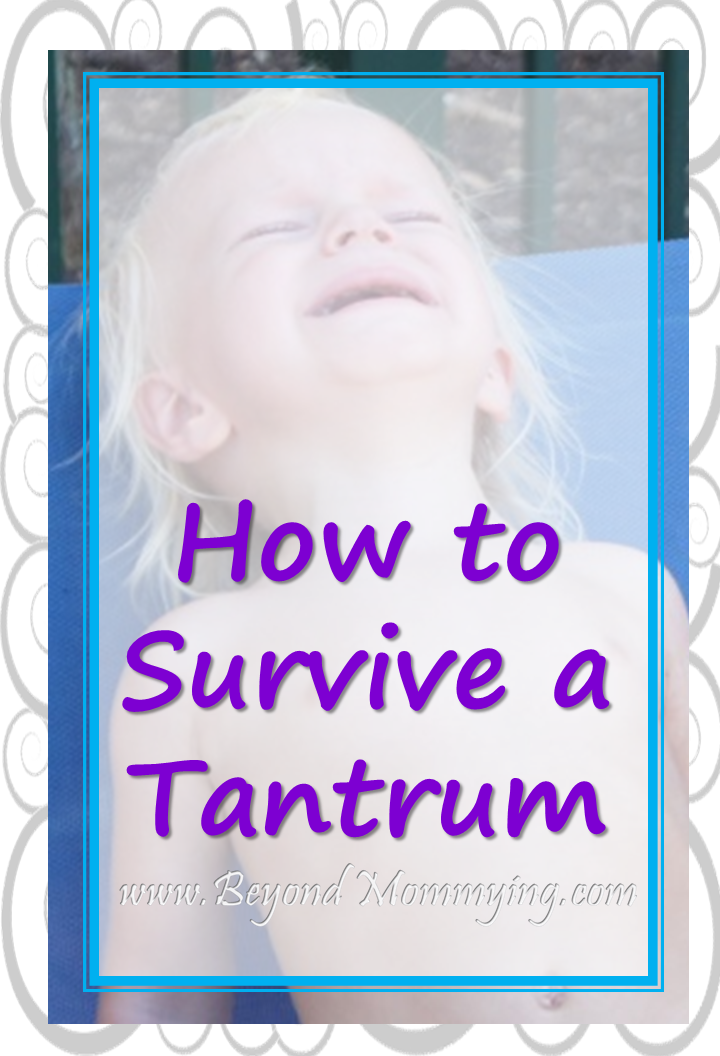 survive toddler tantrum pin