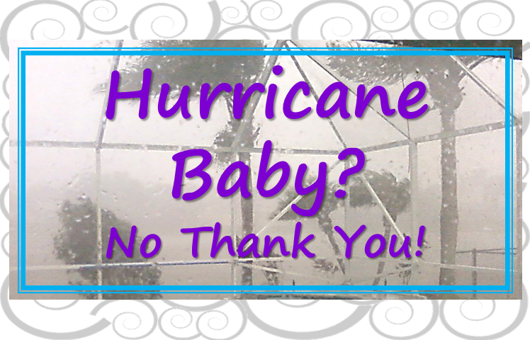 hurricane baby