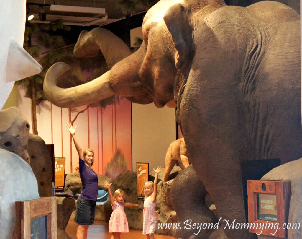 mammoth science center