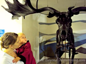 Traveling to Liverpool with Kids: The World Museum