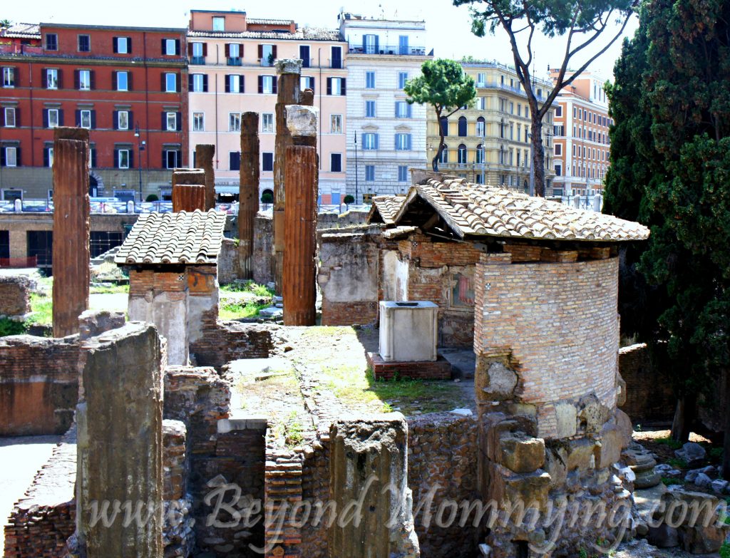 Traveling to Rome with Kids: visiting the Largo di Torre Argentina, site of Caesar's assassination 