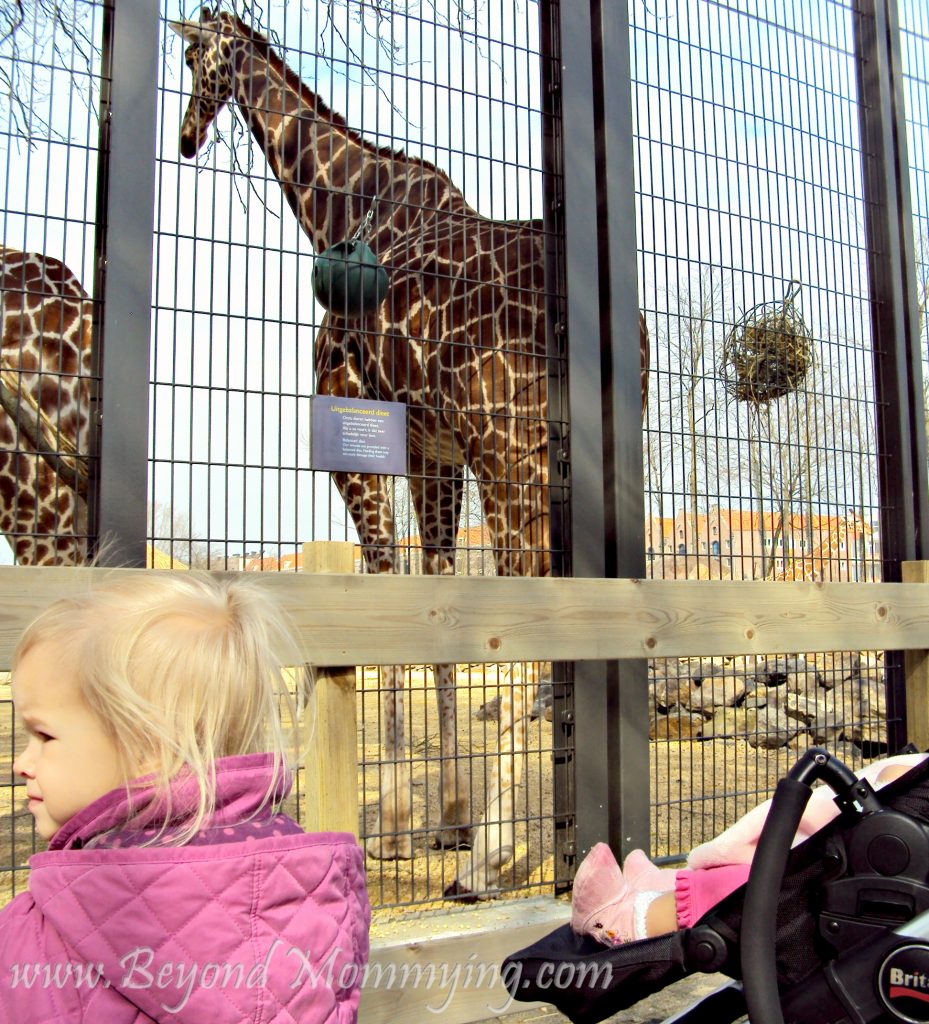 Traveling to Amsterdam with Kids, visiting the Artis Royal Zoo