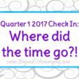 Beyond Mommying's 1st quarter, 2017 check in. Where did we grow, where have we failed?